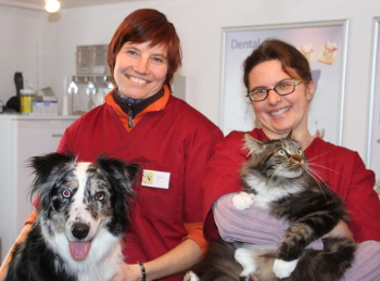 Jubiläum Tierarztpraxis Team