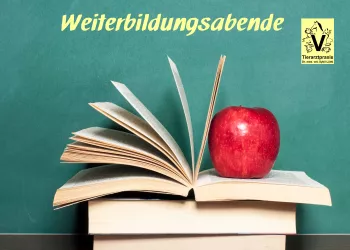 Kann Ihr Auto zur Hitzefalle werden?