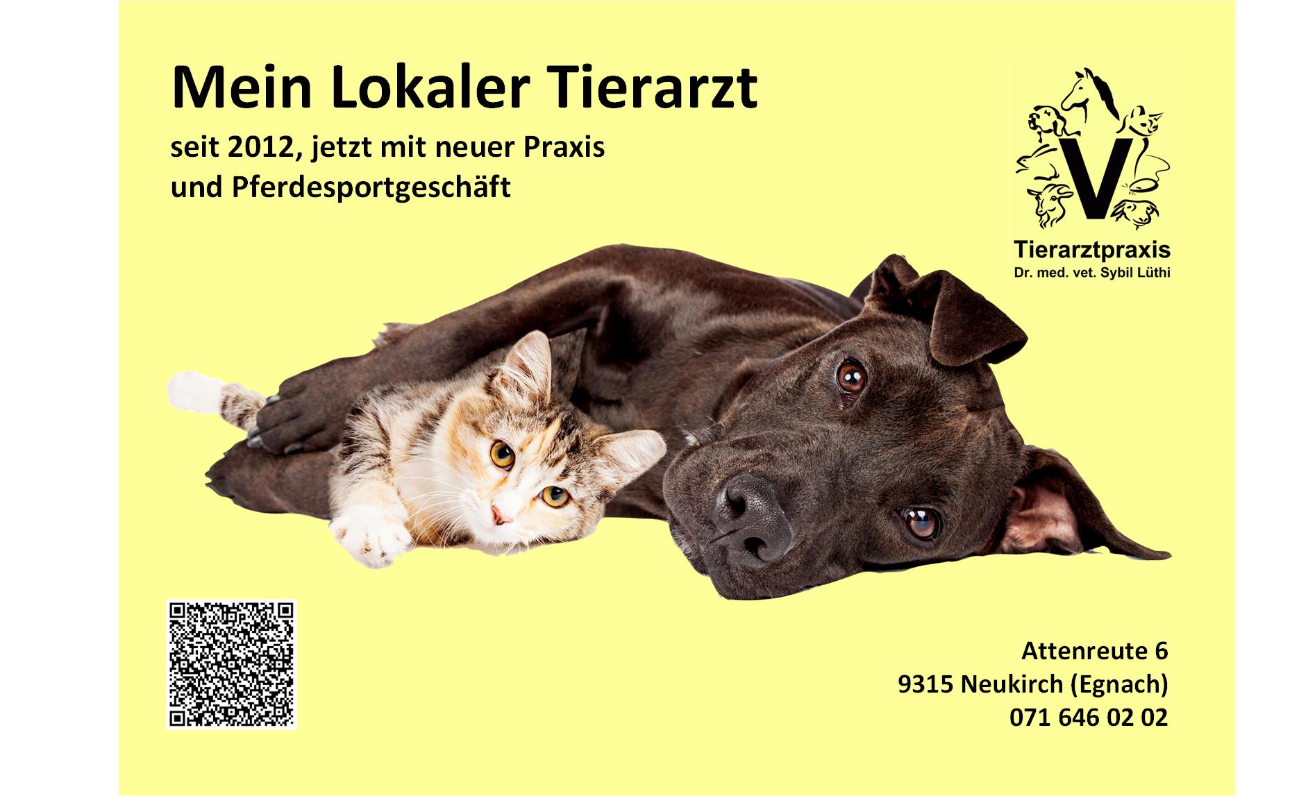 (c) Tierarzt-luethi.ch